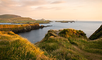 drinking tour of ireland